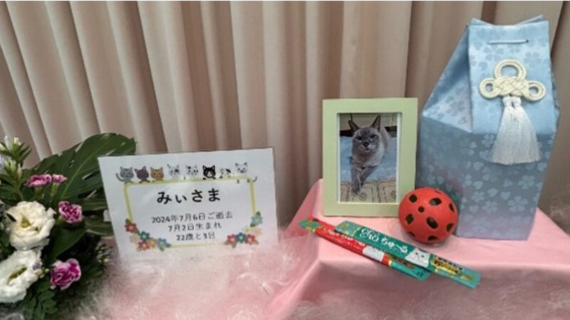 供養祭の様子